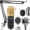 ZINGYOU Condenser Microphone Bundle, BM-800 Mic Kit with Adjustable Mic Suspension Scissor Arm, Metal Shock Mount and Double-Layer Pop Filter for Studio Recording & Broadcasting (Gold) (2)